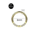 Piercing em Titânio G23 – Argola com Fecho Segmentado e Zircónia CZ (16G)
Versátil e elegante, este piercing é ideal para nariz, cartilagem da orelha, trágus, hélice e daith. Fabricado em titânio cirúrgico G23 — r