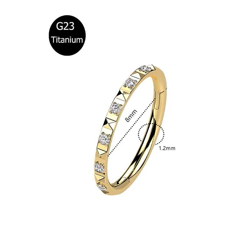 Piercing em Titânio G23 – Argola com Fecho Segmentado e Zircónia CZ (16G)
Versátil e elegante, este piercing é ideal para nariz, cartilagem da orelha, trágus, hélice e daith. Fabricado em titânio cirúrgico G23 — r