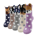 Pack 5 Pares de Meias de Algodão Coloridas Kawaii – Estilo Fofo e Confortável para Mulheres

Descubra o toque perfeito de conforto e estilo com este conjunto de 5 pares de meias de algodão coloridas, com designs kawaii s