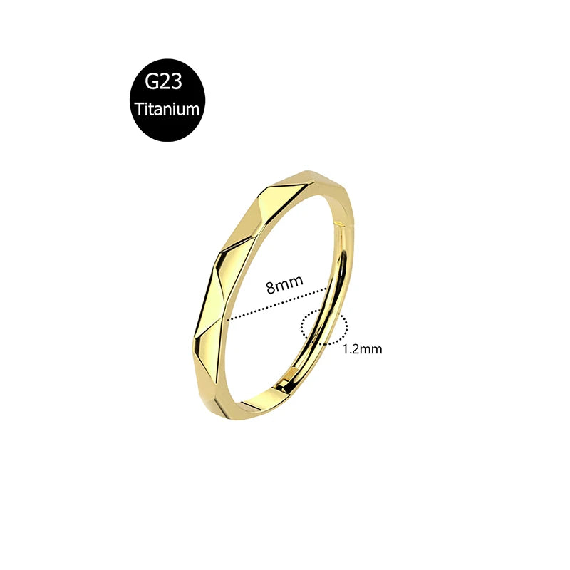 Piercing em Titânio G23 – Argola com Fecho Segmentado e Zircónia CZ (16G)
Versátil e elegante, este piercing é ideal para nariz, cartilagem da orelha, trágus, hélice e daith. Fabricado em titânio cirúrgico G23 — r